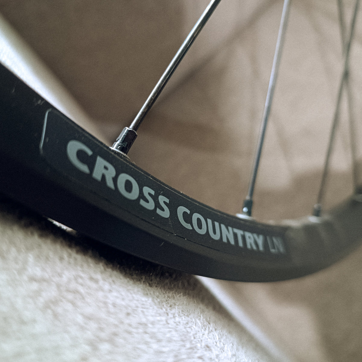 DTSWISS Wheelset Cross Country LN 29er (2nd hand) – Villain Cycles PH