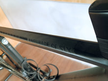 Load image into Gallery viewer, Canyon Endurace CF SLX Size Small (2nd Hand)