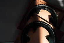 Load image into Gallery viewer, Neutron Carbon Chainring