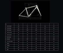 Load image into Gallery viewer, Hi-Light G0 Titanium Gravel Frameset
