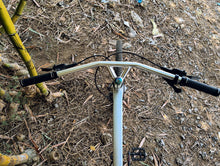 Load image into Gallery viewer, Quick Silver Flat Bar Gravel Bike (Sunpeed Kepler Large)
