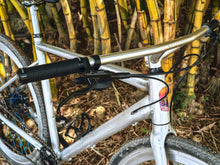 Load image into Gallery viewer, Quick Silver Flat Bar Gravel Bike (Sunpeed Kepler Large)
