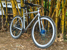 Load image into Gallery viewer, Quick Silver Flat Bar Gravel Bike (Sunpeed Kepler Large)

