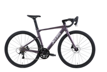 Load image into Gallery viewer, XDS AD300 Road Bike
